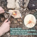 Noble Eagle 25 FT Paracord: Your Ultimate Adventure Lifeline - Image 3