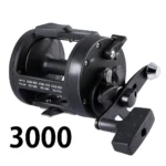 b-dsst30
