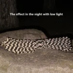 Reflective 2 mm Camping Sky Paracord for Ultimate Survival Gear - Image 5