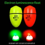 Luminous Wave Rock Fishing Float for Nighttime Adventures